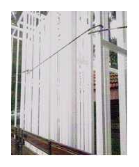 Picture1